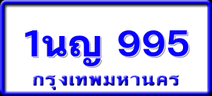 1นญ 995