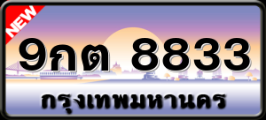 9กต 8833