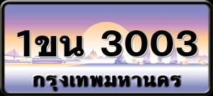 1ขน 3003