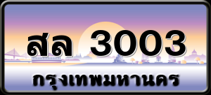 สล 3003
