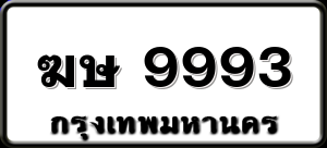 ฆษ 9993