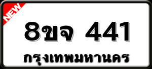 8ขจ 441